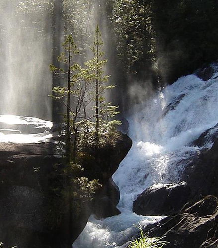 Foto de Tour por Puerto Blest y la cascada de los Cántaros